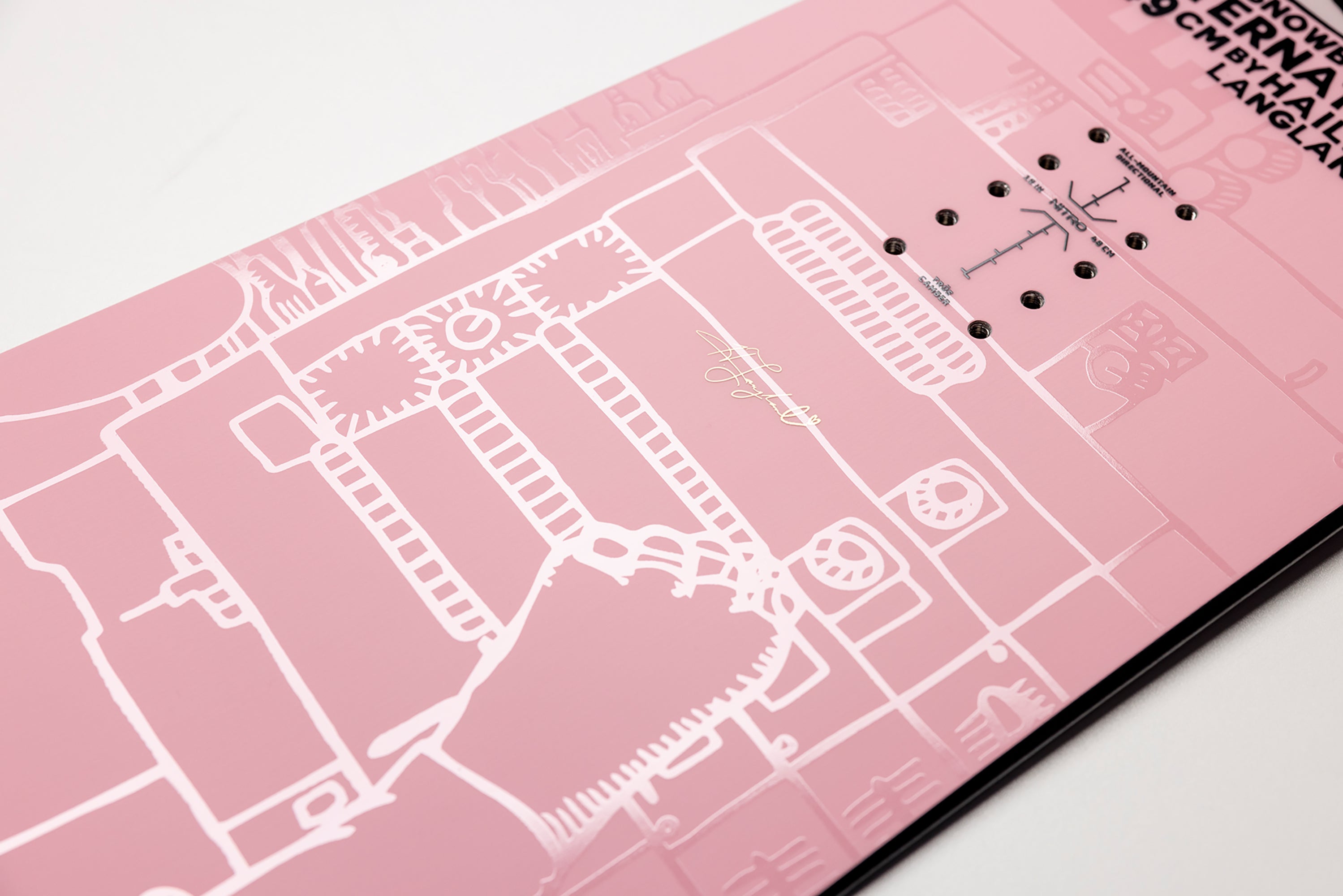 ALTERNATOR x HAILEY 2026