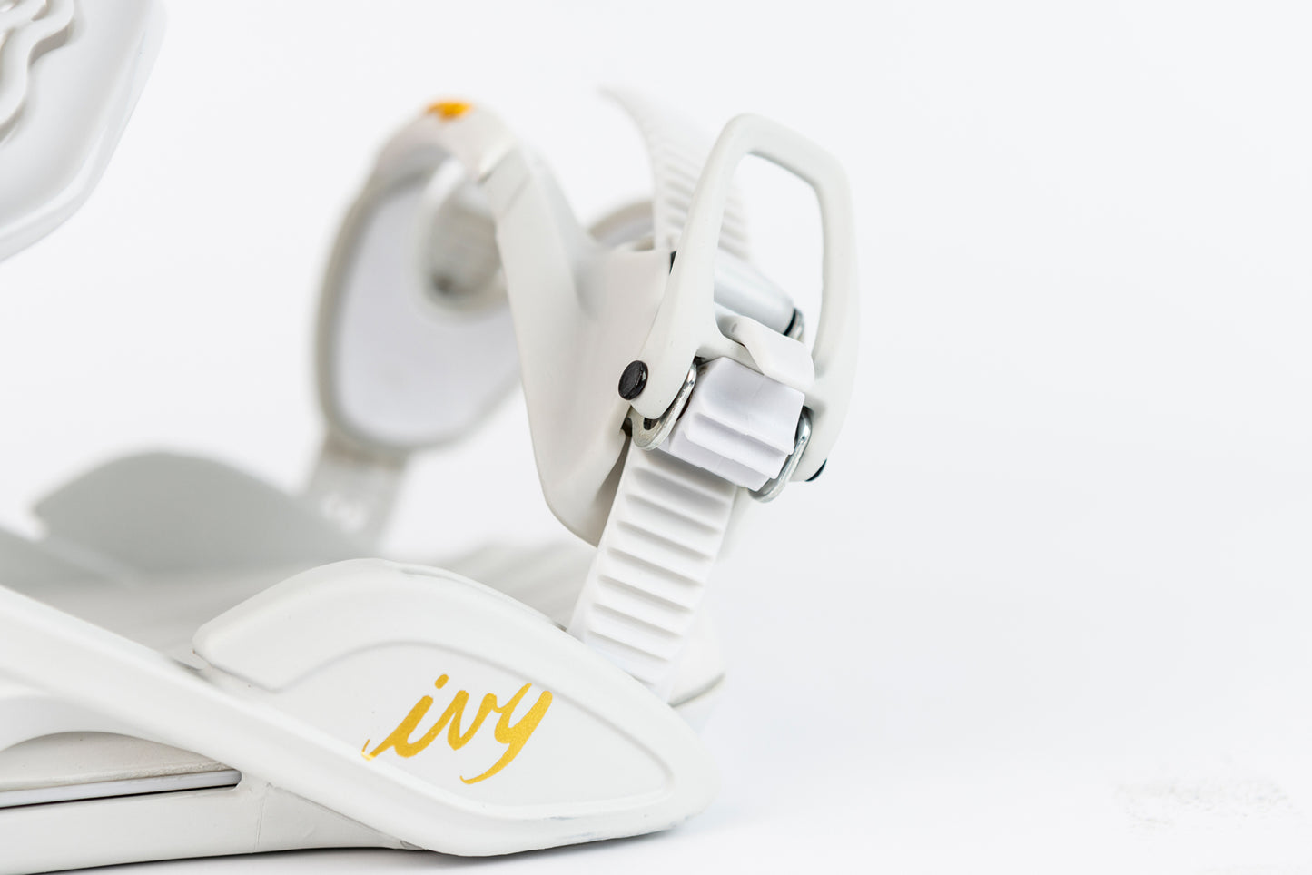 IVY 2025