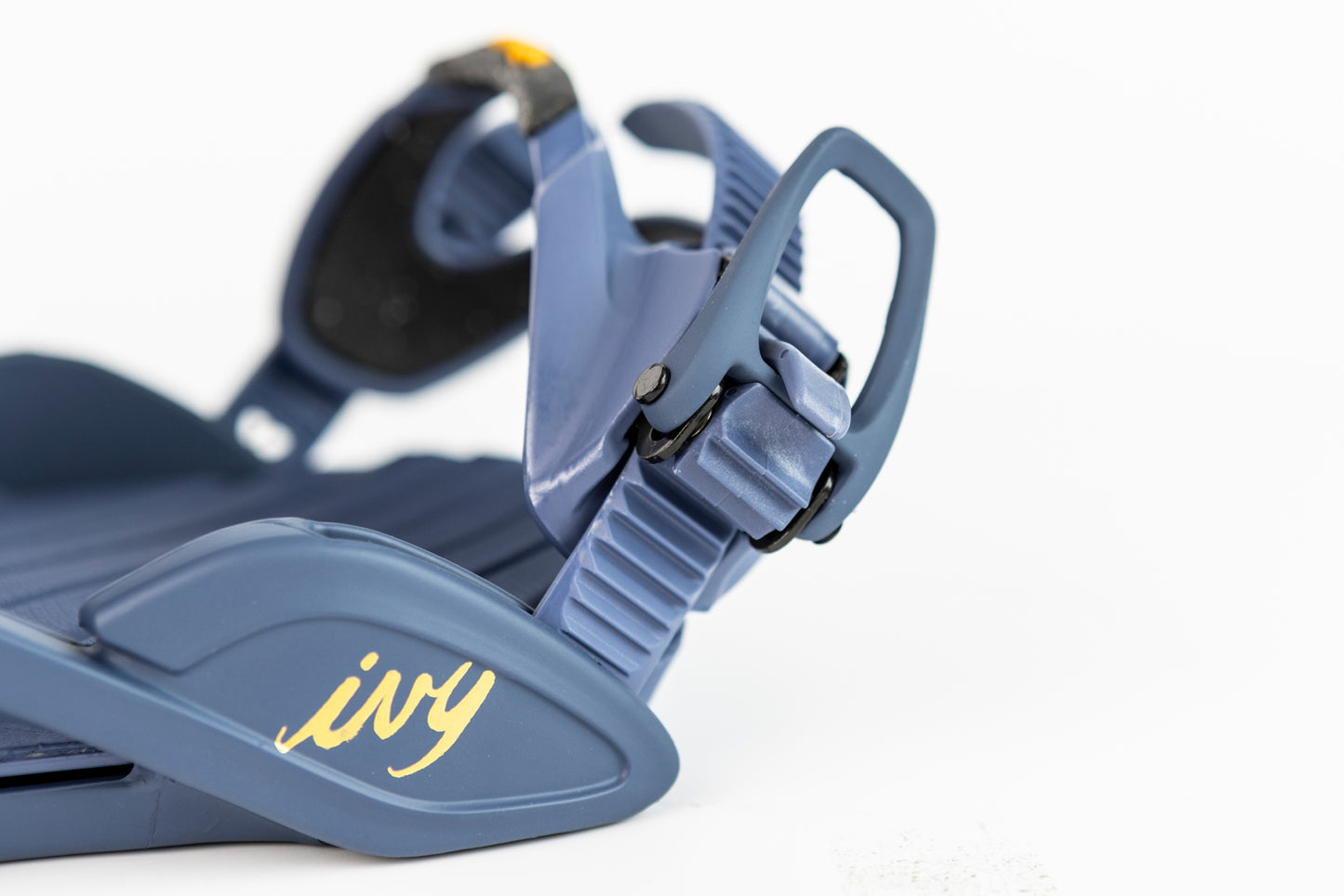 IVY 2025