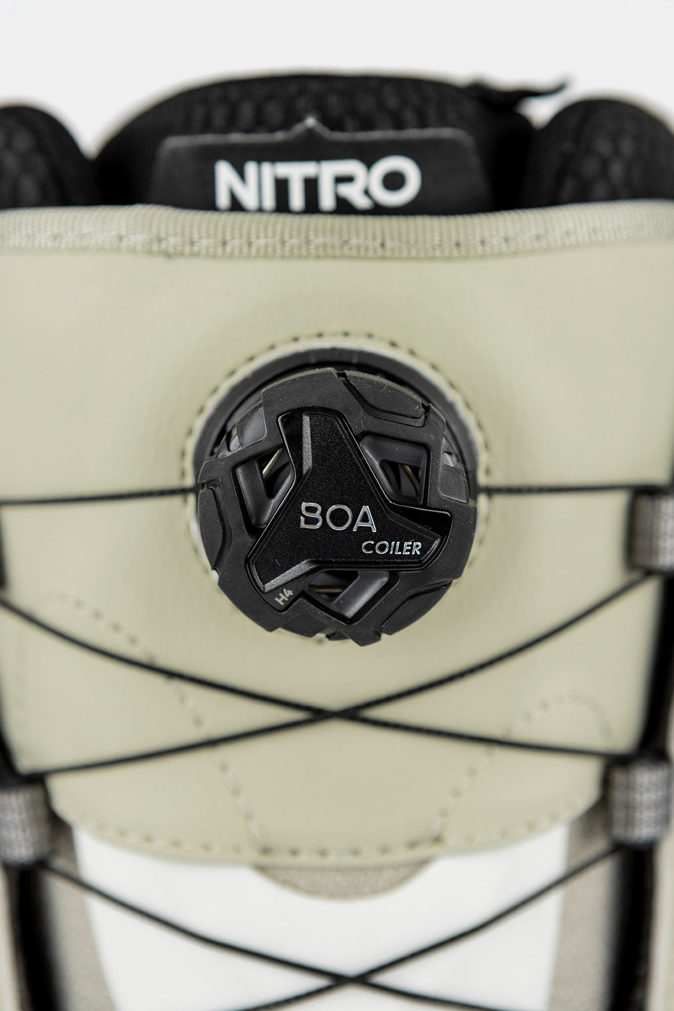 DYNASTY STEP ON BOA 2025