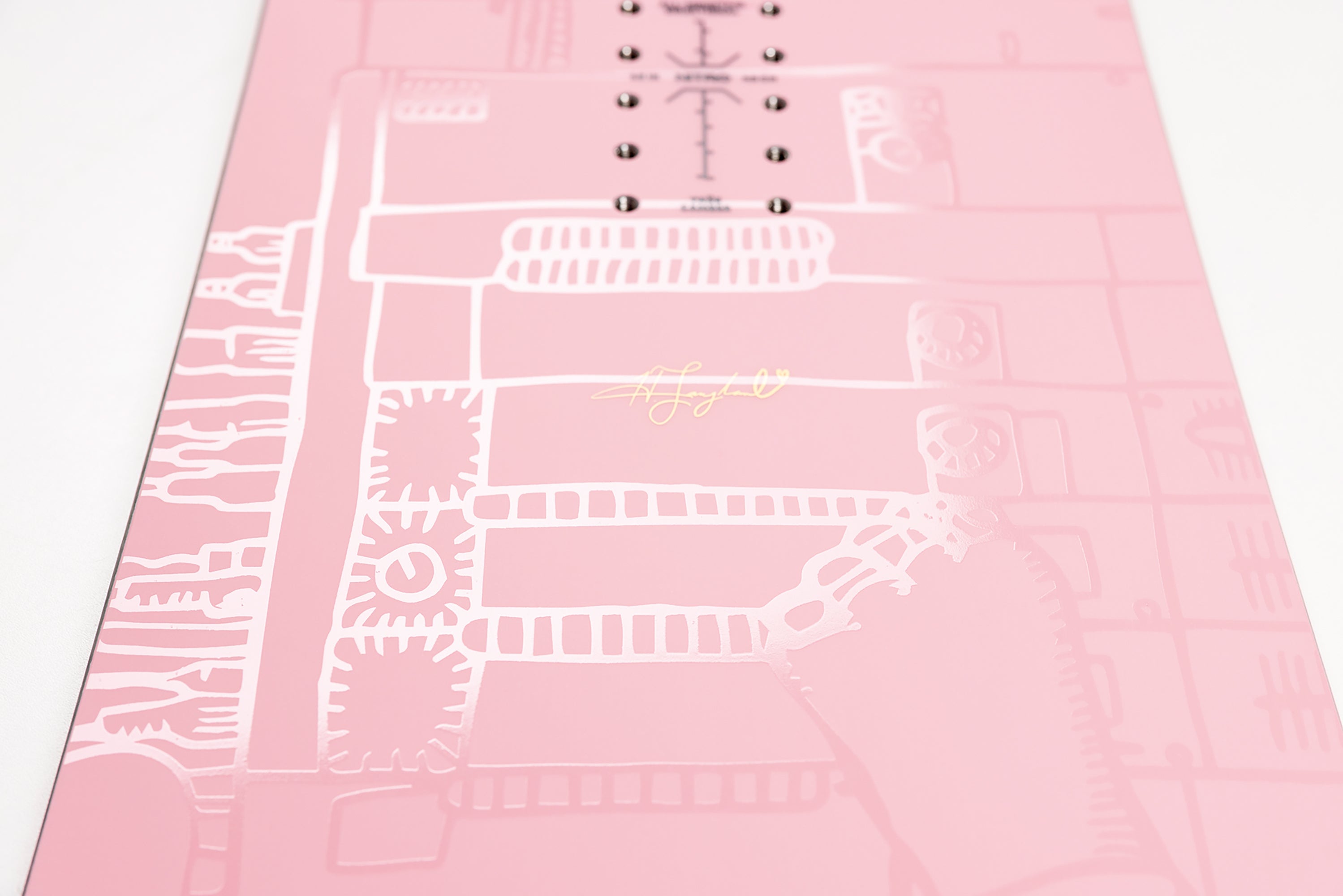 ALTERNATOR x HAILEY 2026