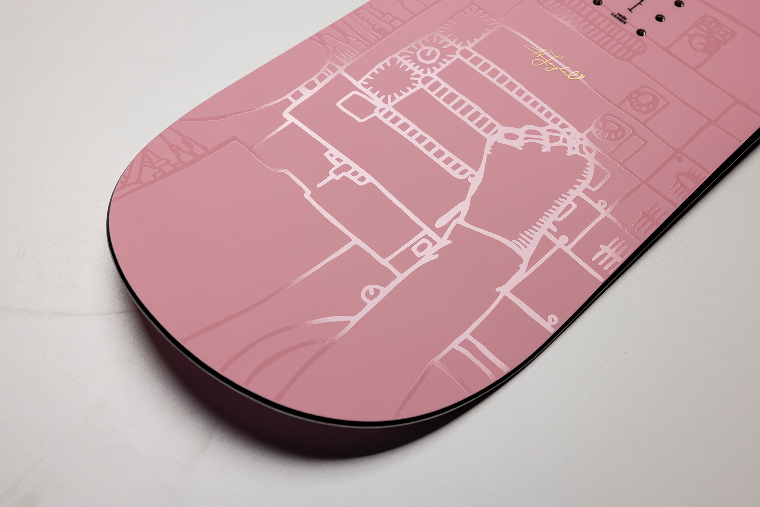 ALTERNATOR x HAILEY 2026